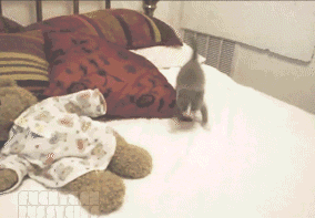 tumblr_loxwm8v8fH1qjmniro1_400.gif