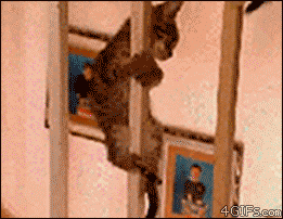 tumblr_m0t3elz4a71qdlh1io1_400.gif
