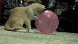tumblr_m1au6nuaiE1qezw8jo2_r2_250.gif