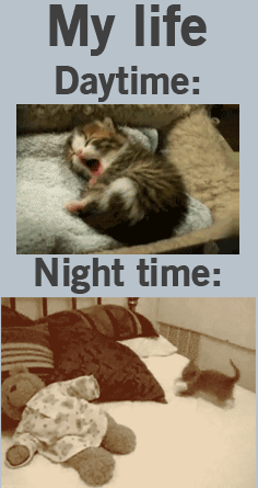 tumblr_m2rrj12HMt1r73wdao1_400.gif