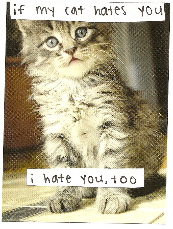 tumblr_m476jmimDR1r03ny0o1_1280.jpg