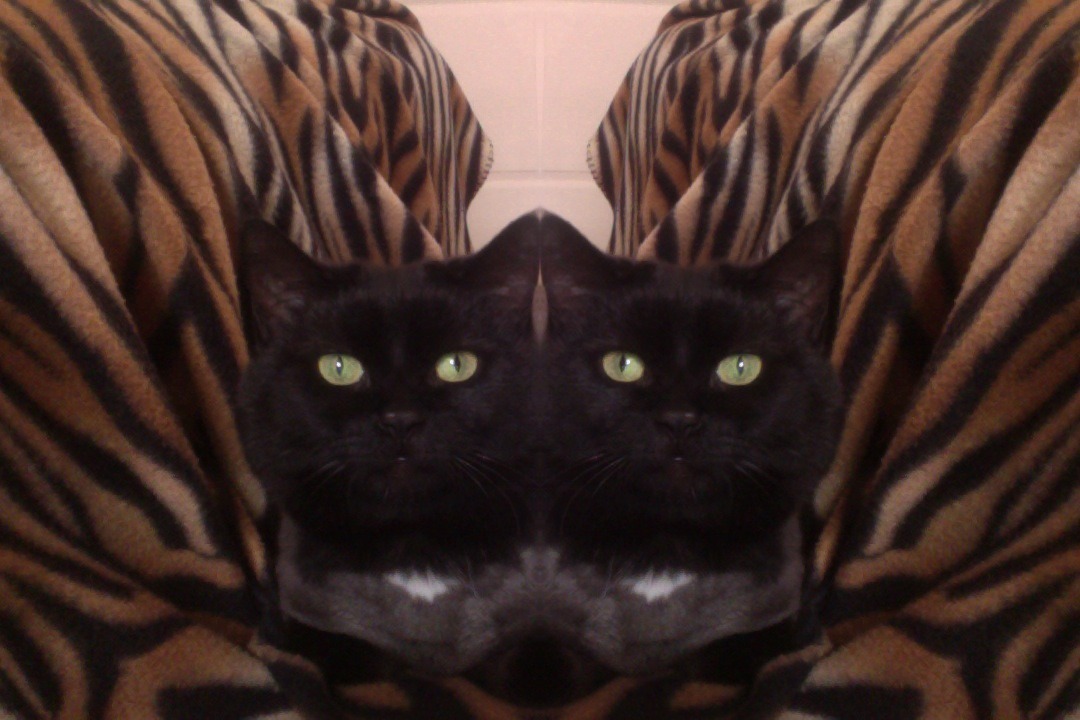 tumblr_m4lcvaKpg31r48fhjo1_1280.jpg