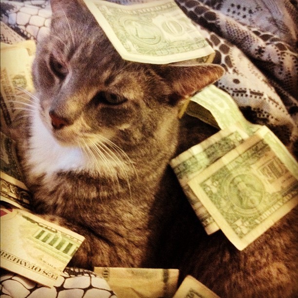 tumblr_m4rrxjjoQn1qbculvo1_1280.jpg
