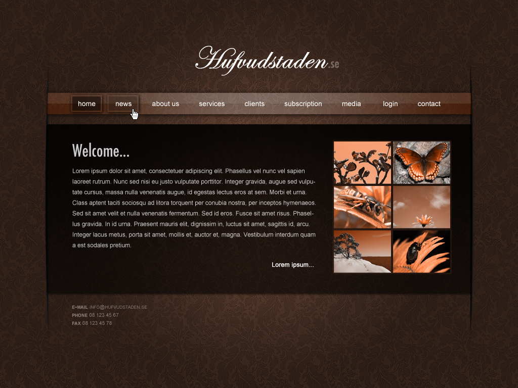 Hufvudstaden_webdesign_by_Yzermann.jpg