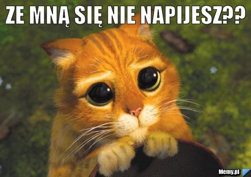 ef5c128810_ze_mna_sie_nie_napijesz.jpg