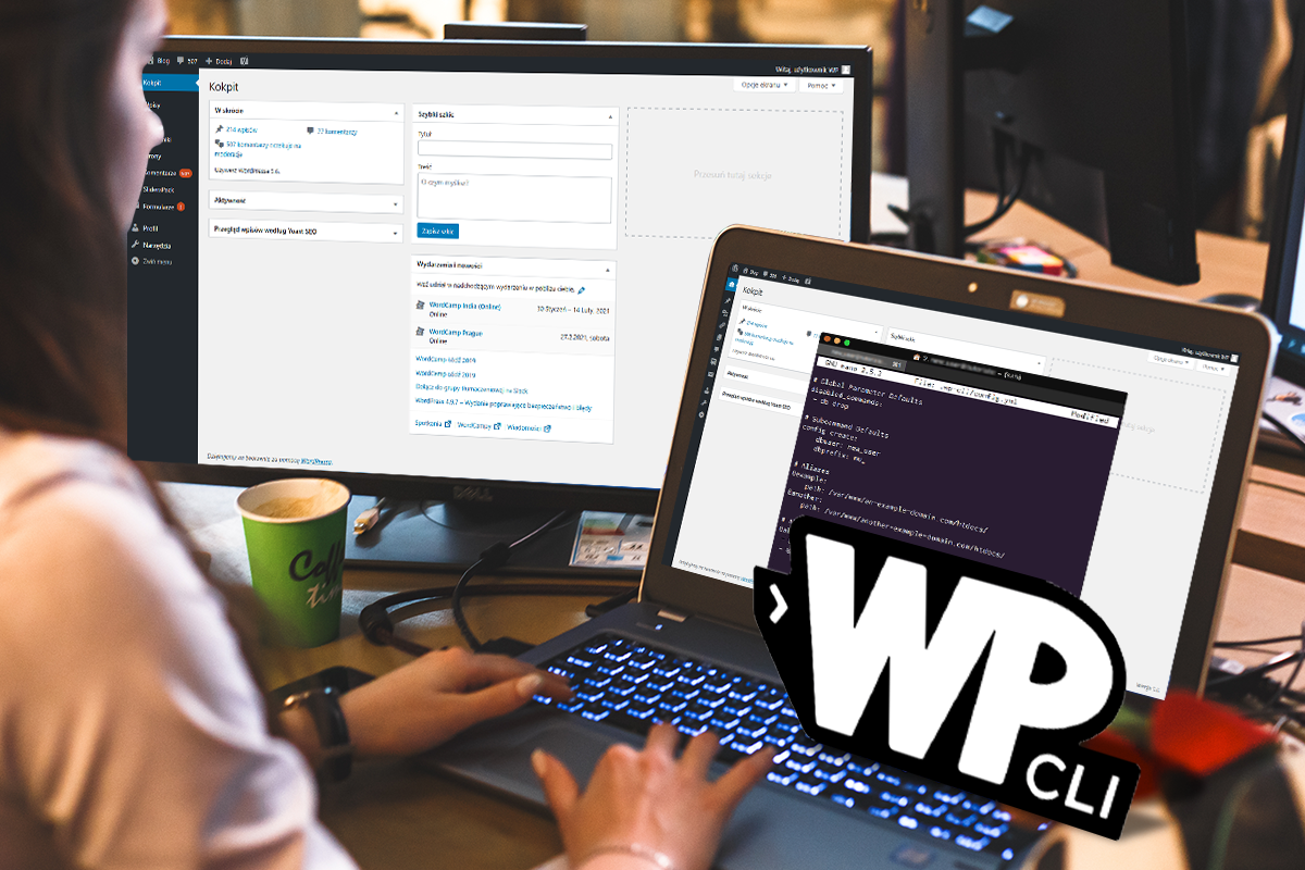 WP-CLI-na-hostingu-w-nazwa.pl_.png