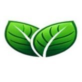greenwebpage
